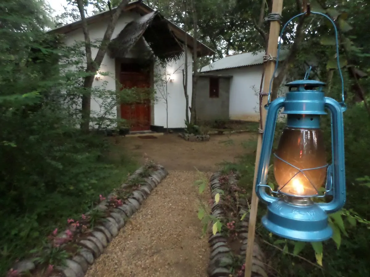 Bed & Breakfast Grand Freedom Bed and Breakfast Sigiriya