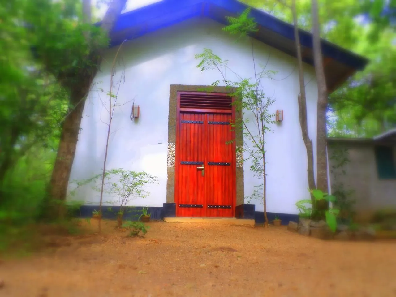 Bed & Breakfast Grand Freedom Bed and Breakfast Sigiriya