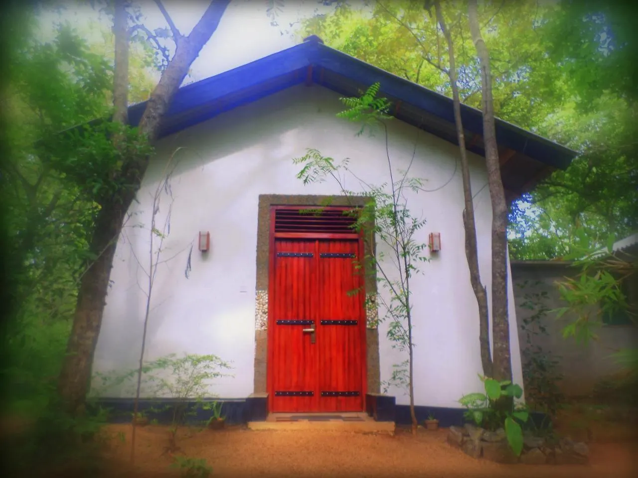 Grand Freedom Bed and Breakfast Sigiriya Sri Lanka